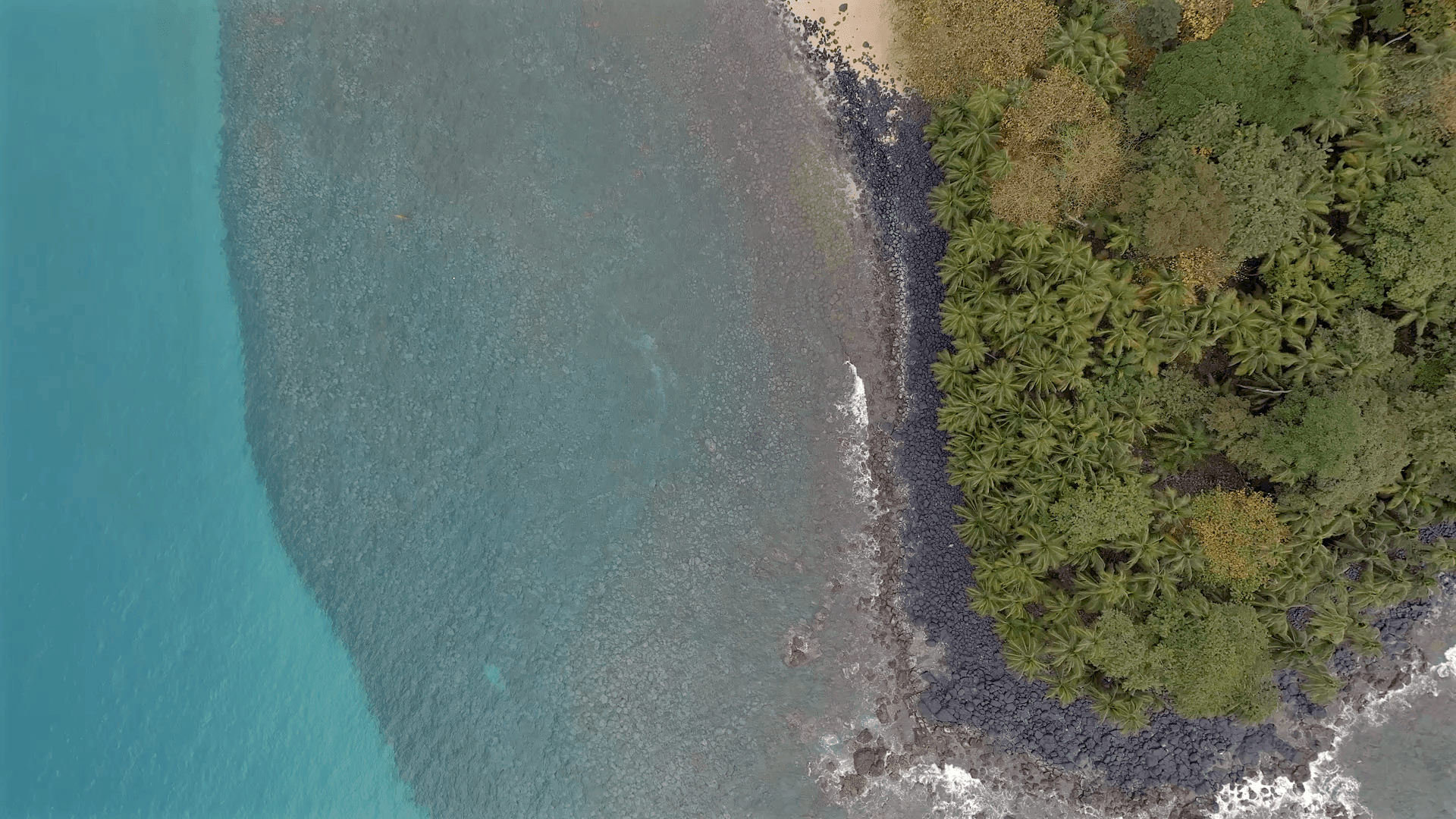 Drone shot of a beach with blue water